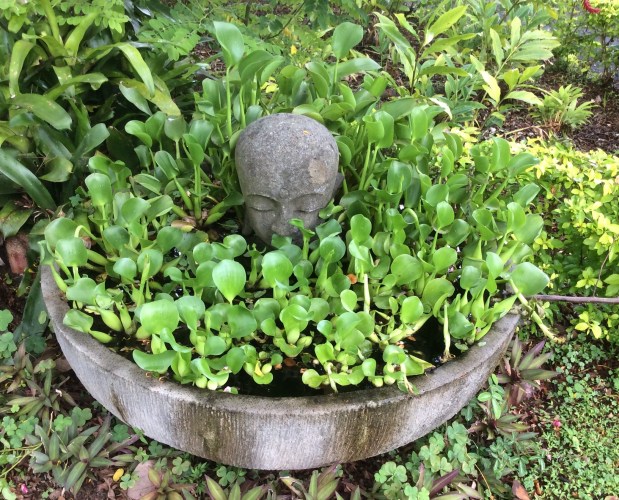 Marie Nui Garden&nbsp;Rarotonga